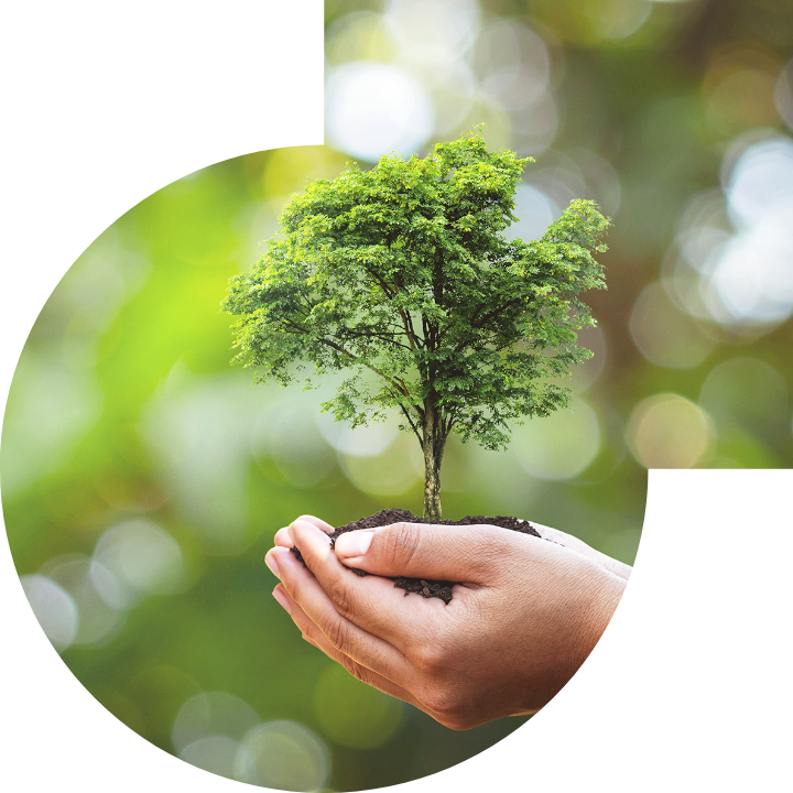 關懷人類、文化、環境與社會